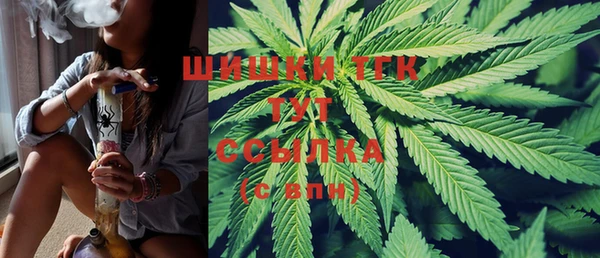 хмурый Кодинск