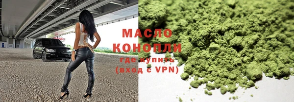 индика Карпинск