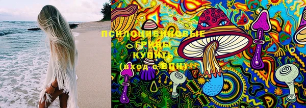 хмурый Кодинск