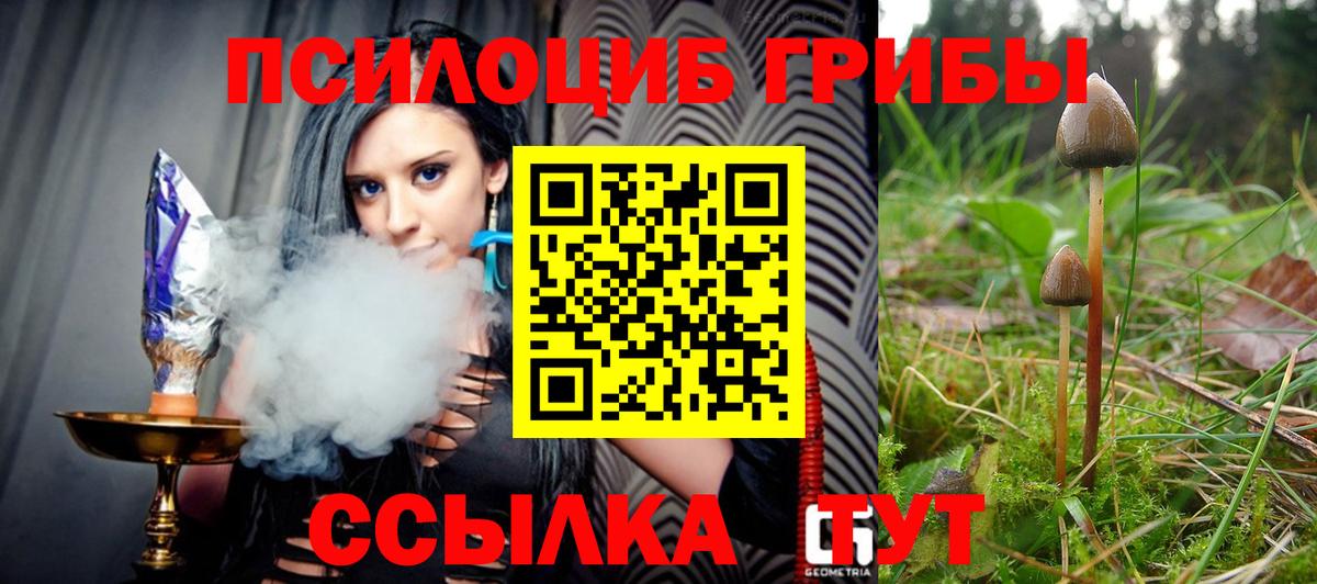 Псилоцибиновые грибы Magic Shrooms  Вход с VPN  Можайск 